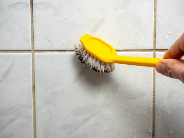 Best Mold Testing  in Hinesville, GA