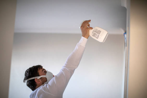 Best Mold Testing  in Hinesville, GA