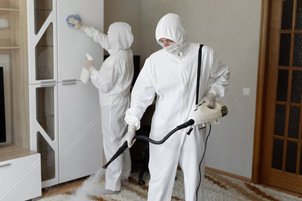 Best Mold Damage Repair  in Hinesville, GA